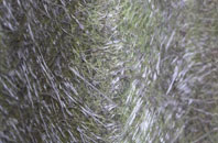 Chapel En Le Frith fibreglass roof work